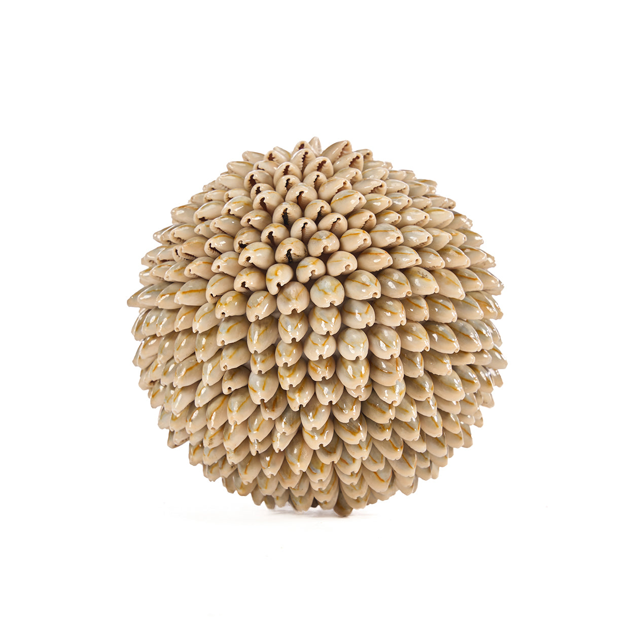 De Oluolu Schelp Bal - L