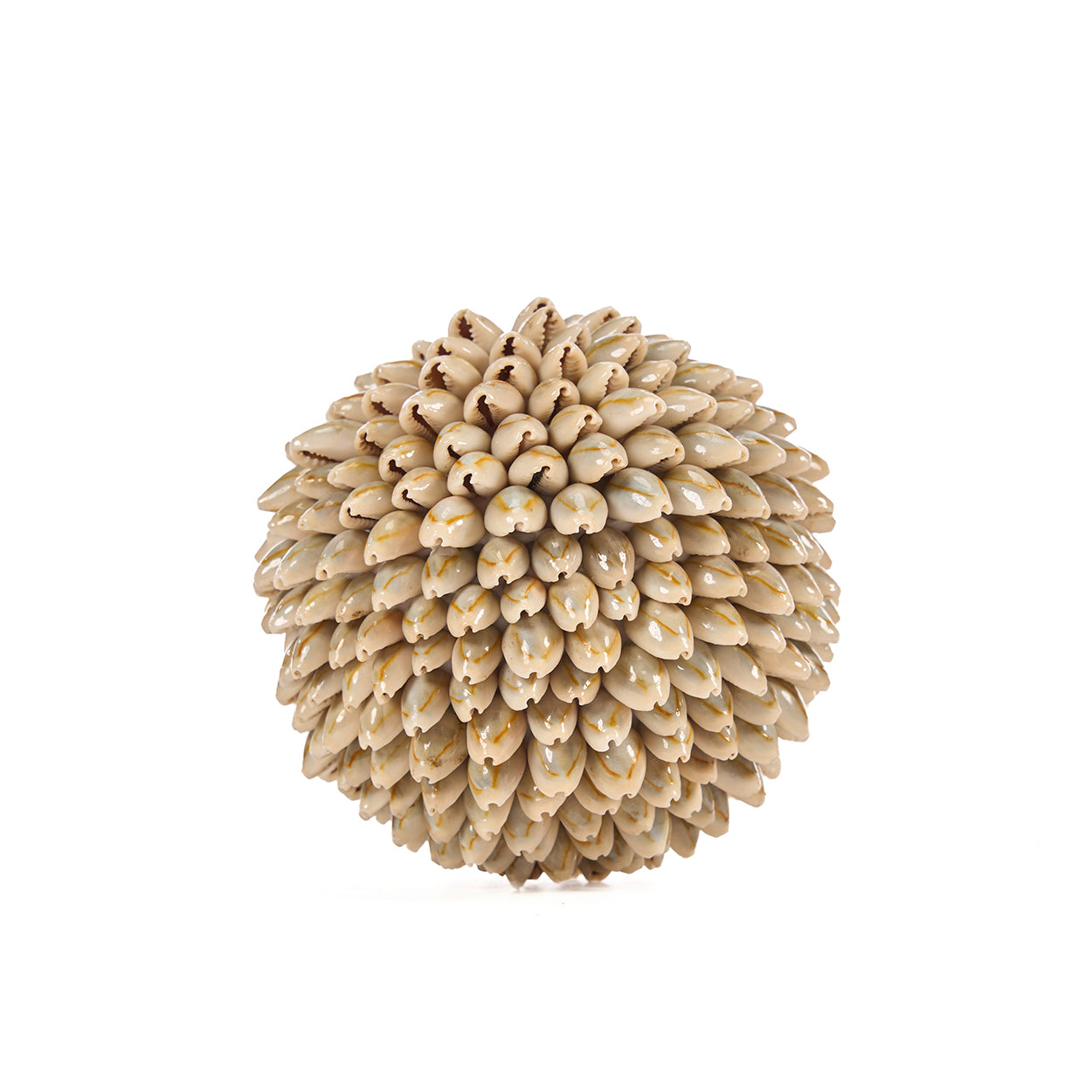 La Balle Coquille Oluolu - M