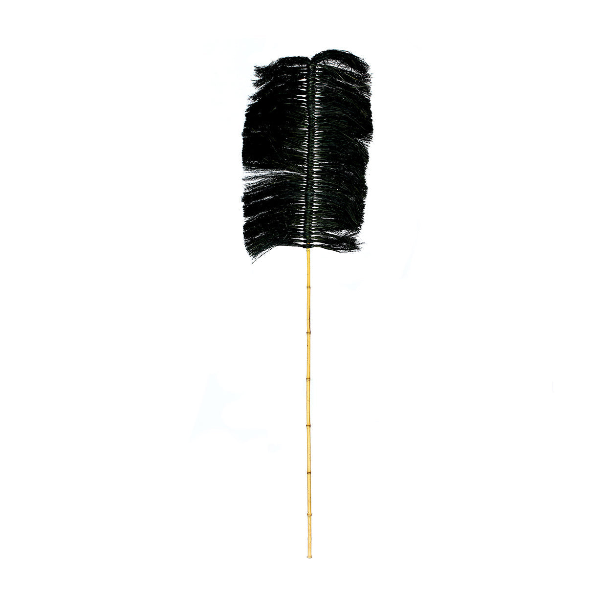 The Raffia Palmeira - Black