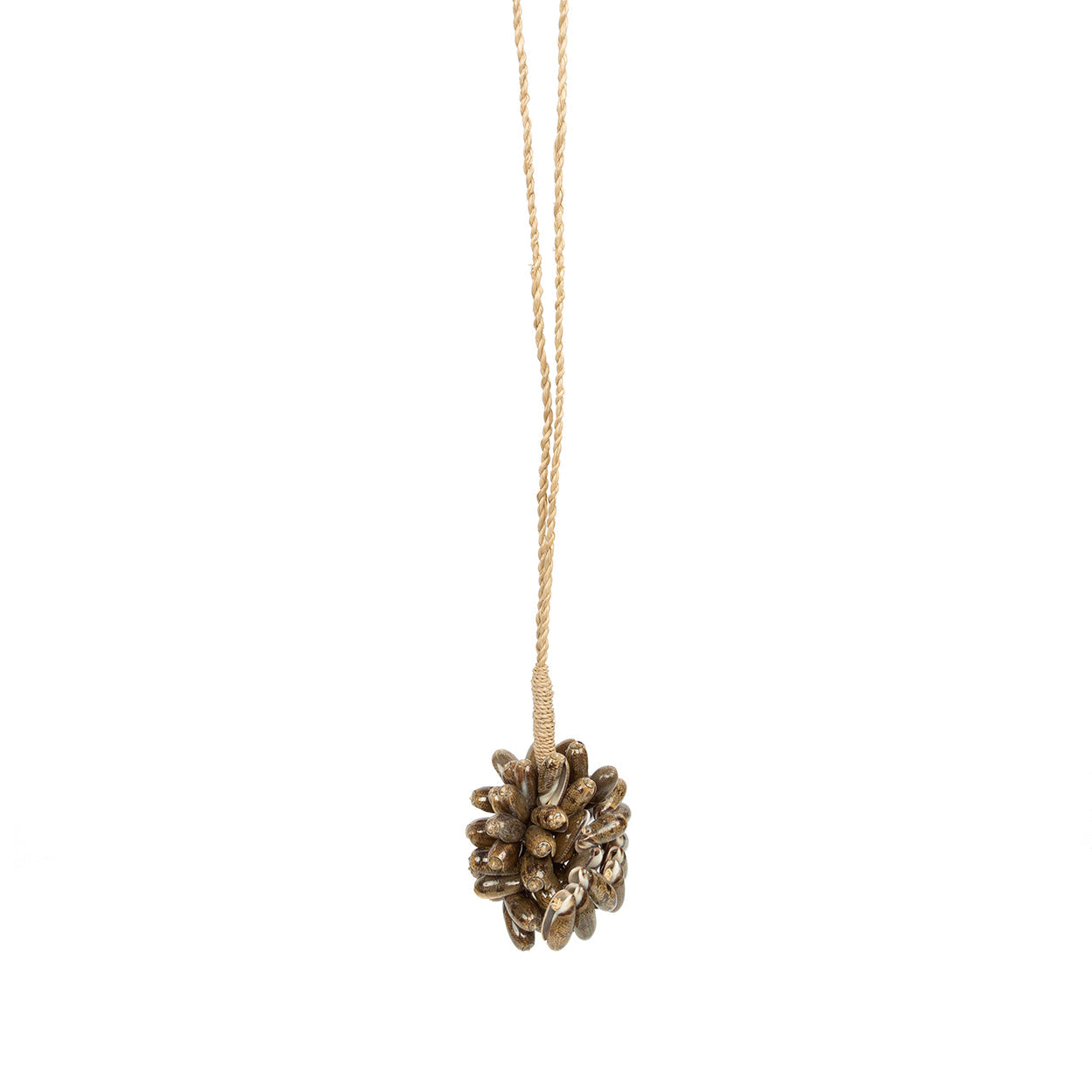 De Bruine Kauri Schelp Kwast