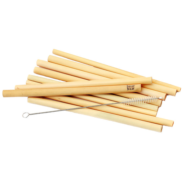 De Bamboe Rietjes - Set van 10 met Schoonmaakborstel