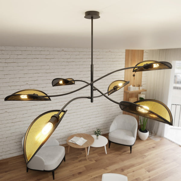 LOTUS 6 BLACK/GOLD