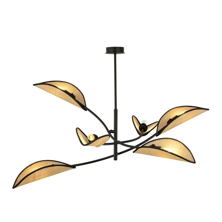 LOTUS 6 ZWART/ROTAN