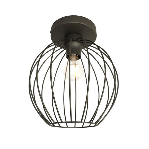 NEST 1 BL