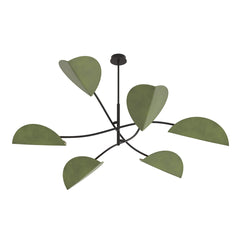 LOTUS 6 BL GREEN