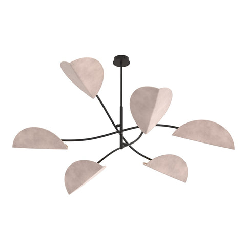 LOTUS 6 BL GRAY