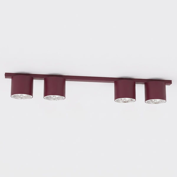 NANO 4 BURGUNDY - 2