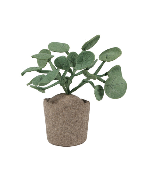 KidsDepot plant Pileo Pepero - Groen