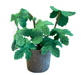 KidsDepot Plante Ficus Carica - Vert