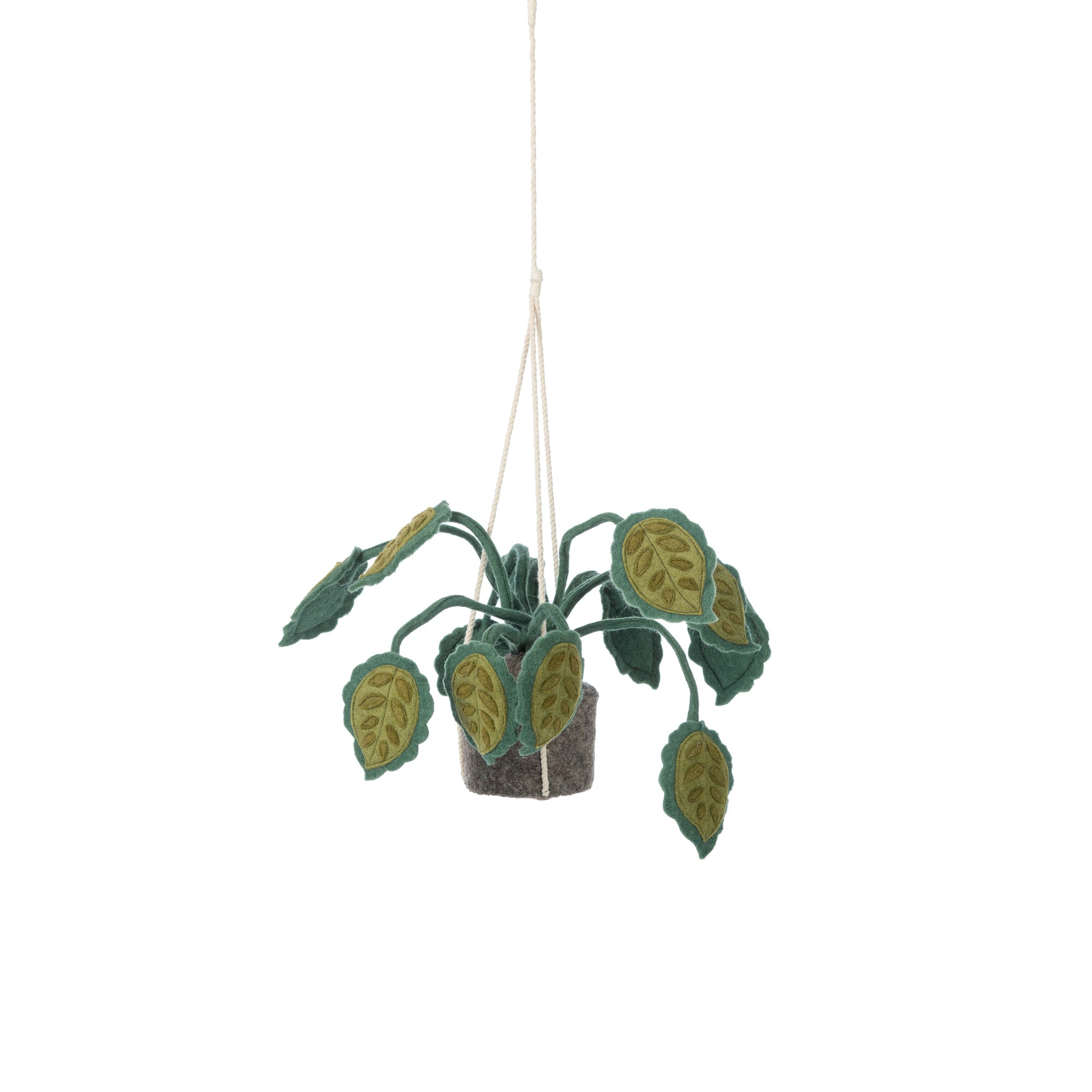 KidsDepot plant grandes feuilles - Vert