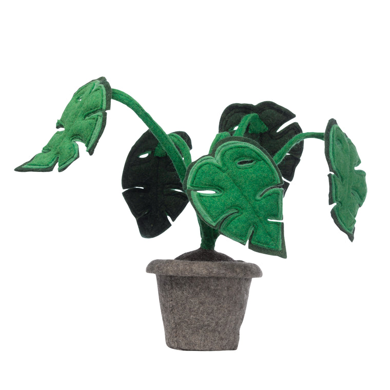 KidsDepot Monstera plant - Green