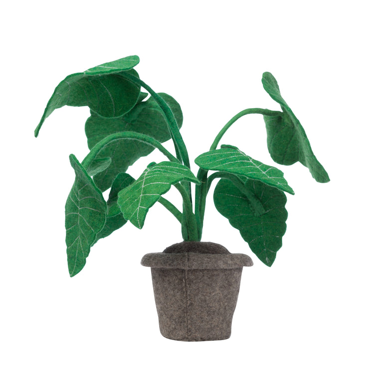 KidsDepot Alocasia plant - Green