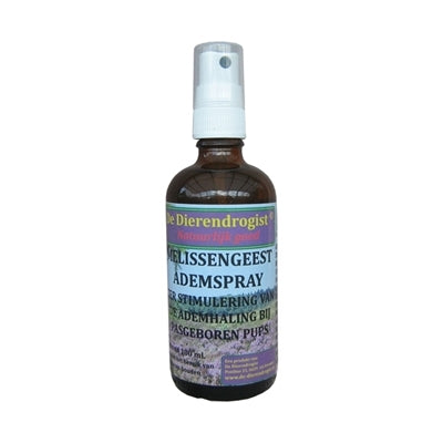 Melissengeist Breath Spray 100 ml