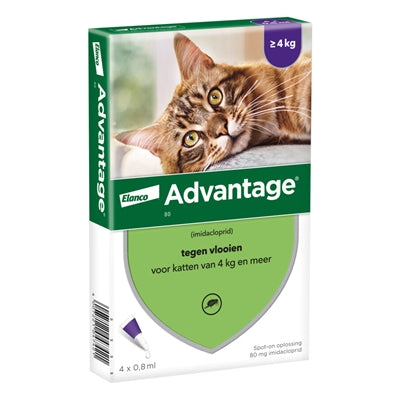 ELANCO ADVANTAGE KAT 80 VOOR KATTEN VANAF 4 KG 4 PIPETTEN