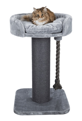 TRIXIE Arbre à chat KLARA XXL Gris 60x60x100 cm