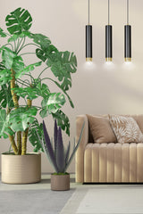 KIBO 3 BL/GOLD