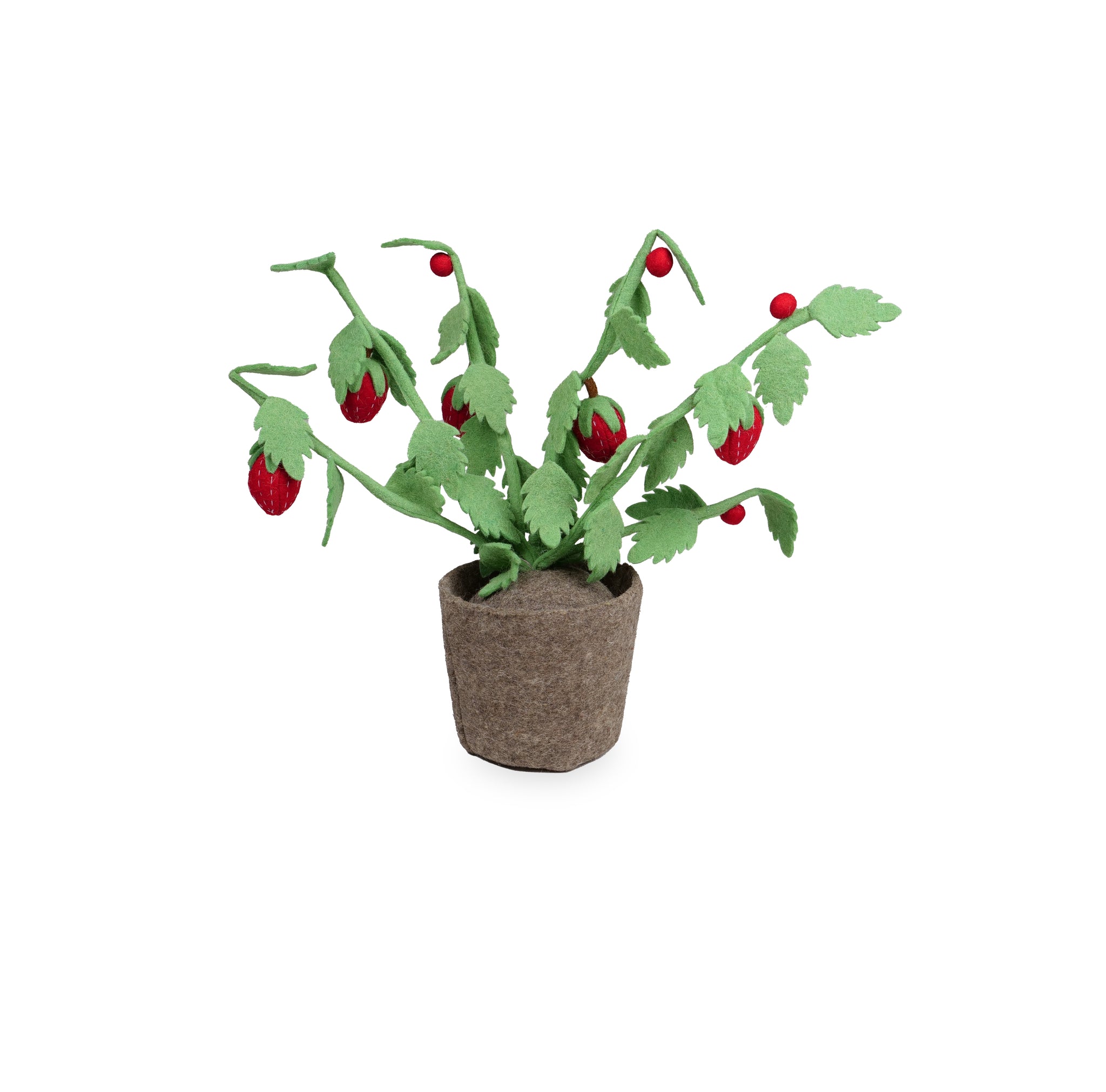 Kidsdepot Aardbeienplant - rood
