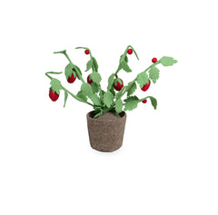 Kidsdepot Aardbeienplant - rood
