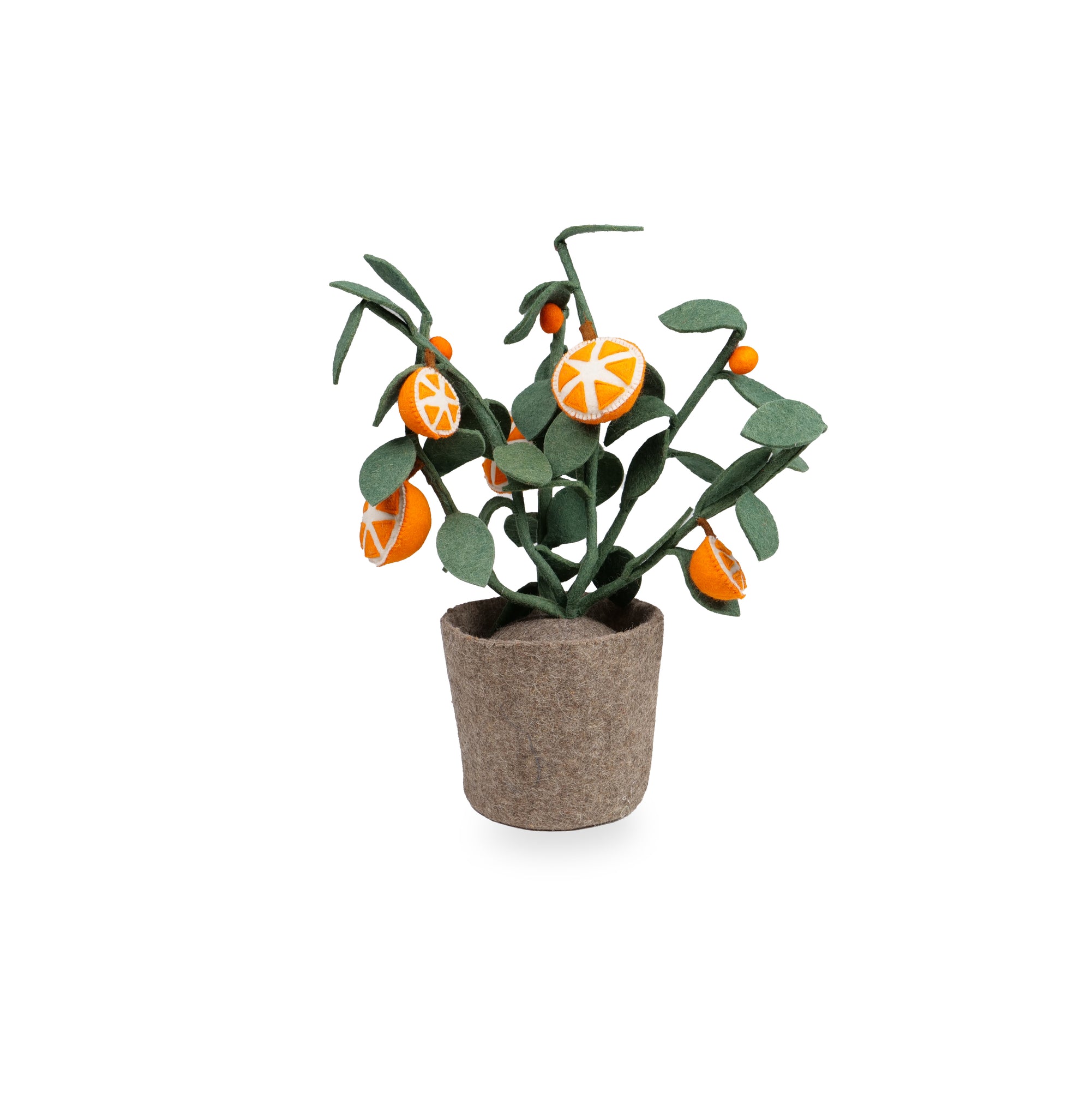 Kidsdepot Orange Plant -
