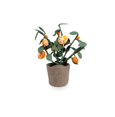 Kidsdepot Orange Plant -