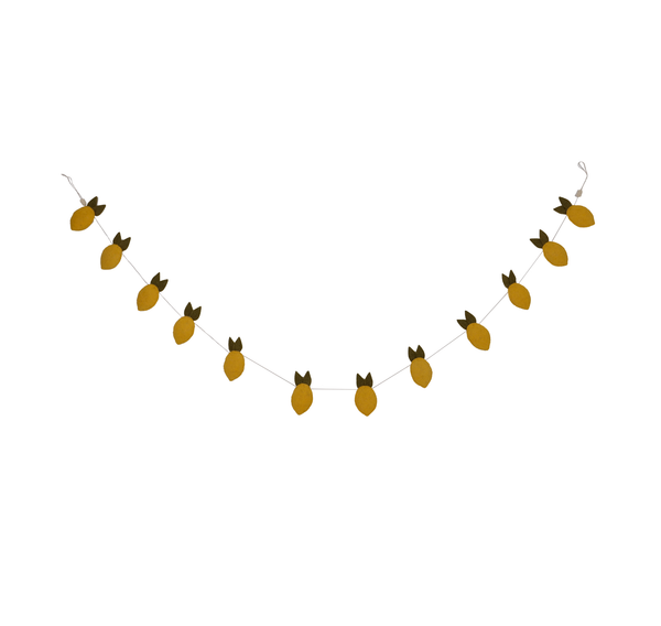 Kidsdepot garland Citrus - multi