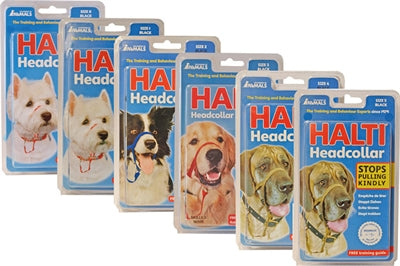 Company of Animals Halti Headcollar Black No. 2