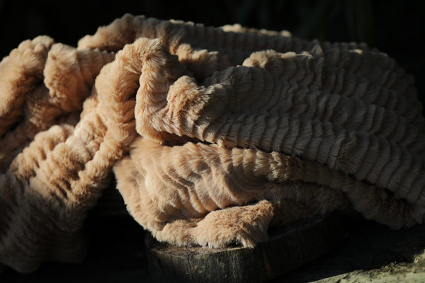 Owl Clay