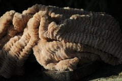 Owl Clay