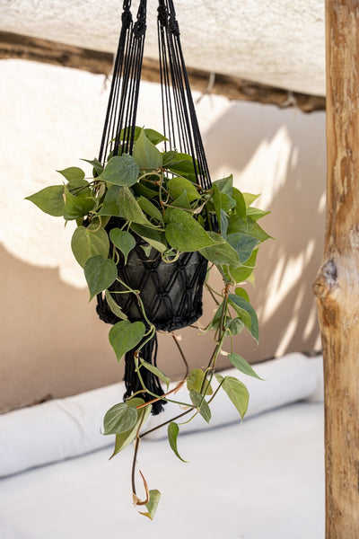 Le Porte-Plante en Macramé - Noir - G