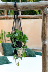 Le support de plantes en macramé - Noir - S
