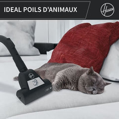 Bagless vacuum cleaner - HOOVER - HP320PET - 850 W - 2 L - 75 dBA - Special for pets