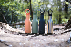 Loop vacuüm geïsoleerde dubbelwandige drinkfles van 500 ml
