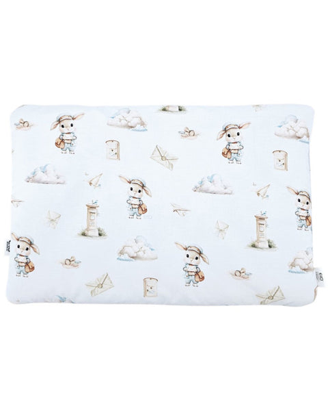 Pillow 40x60 cm POSTMAN